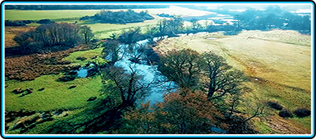 Rivers Image